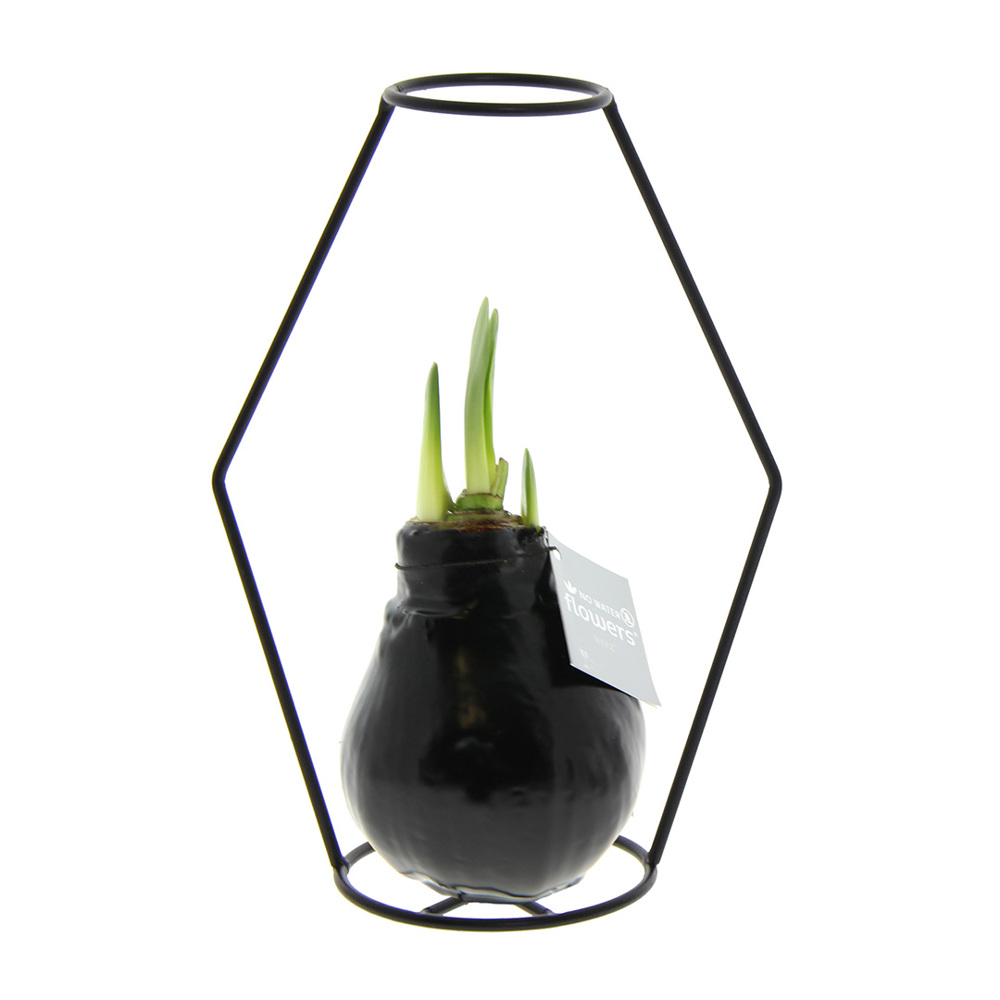 No Water Flowers® - Formz modern - kopen of bedrukken - zwart