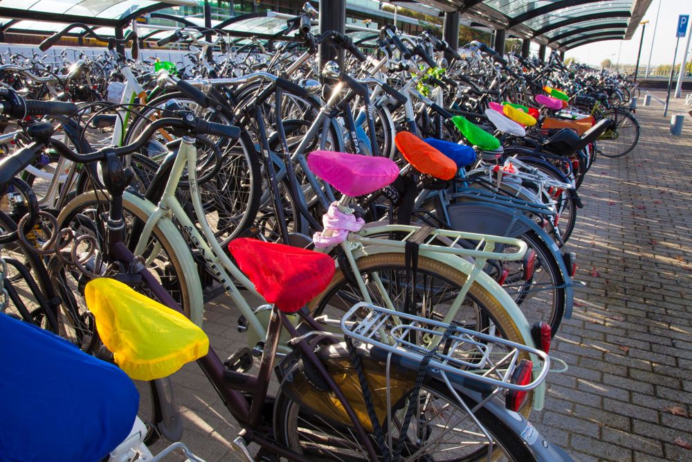 Polyester (190T) fietszadelhoes Xander