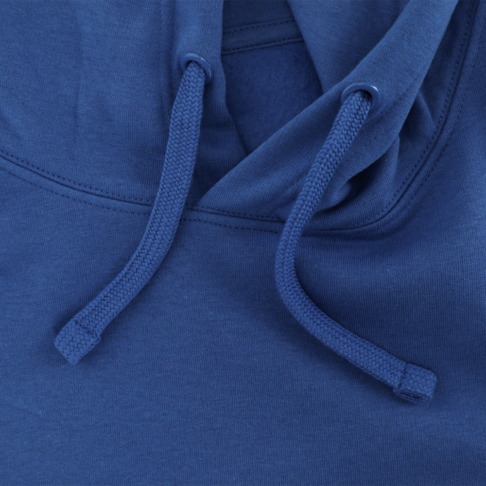 Volwassene Sweatshirt Draco