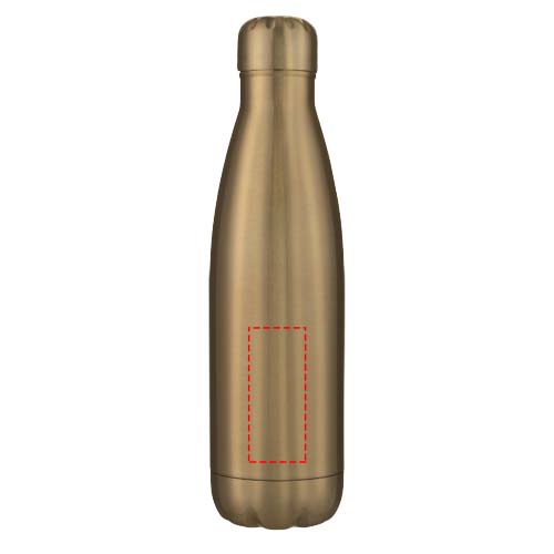 Cove vacuüm geïsoleerde roestvrijstalen fles van 500 ml