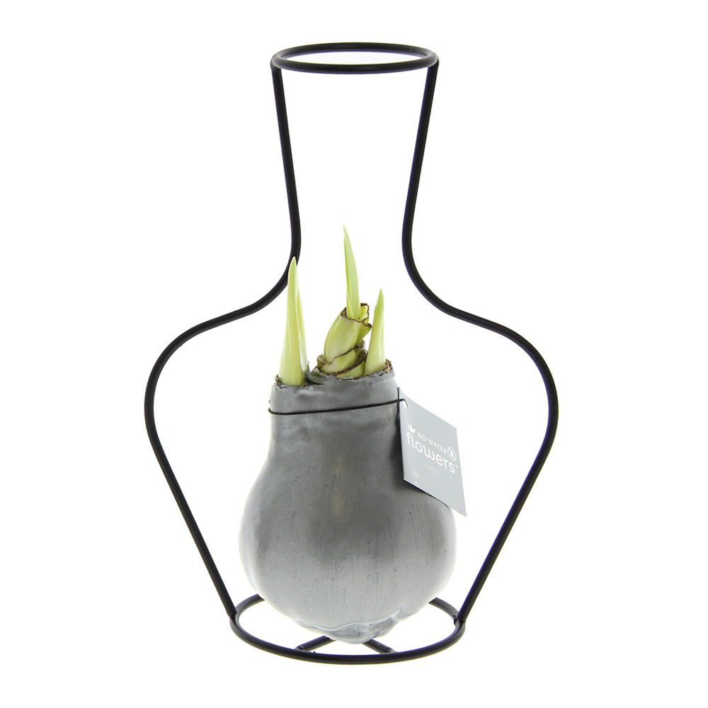 No Water Flowers® - Formz classic - kopen of bedrukken - zilver