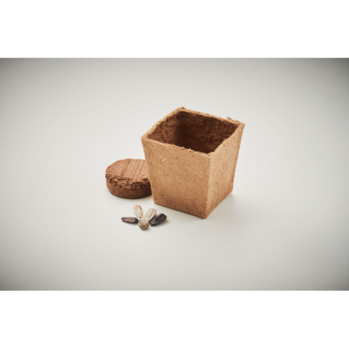 SUNFLOWER KIT - Zonnebloem kweekset