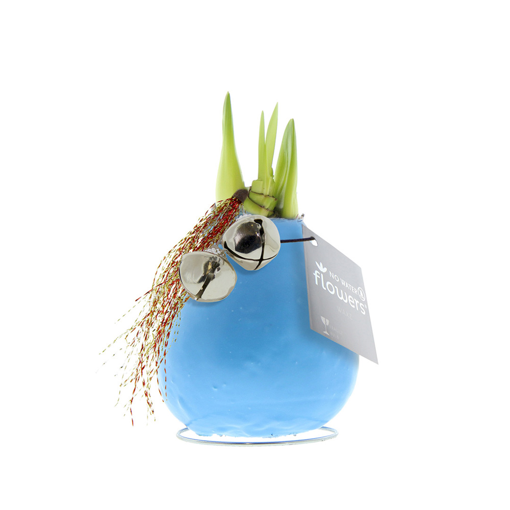 No Water Flowers® - Jingle Bellz - voor bedrijven en relatiegeschenken - Pastel blauw