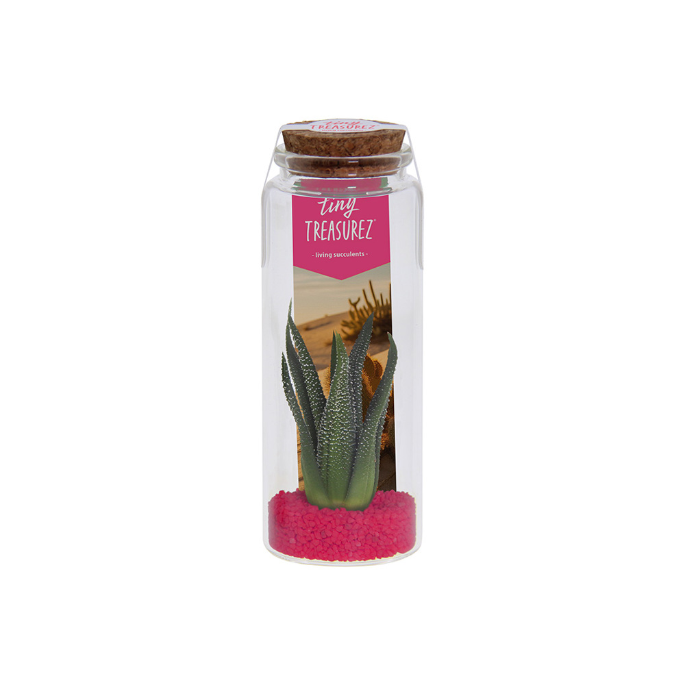 Tiny Treasurez® - Message in a bottle large - voor bedrijven en relatiegeschenken - Donker Roze