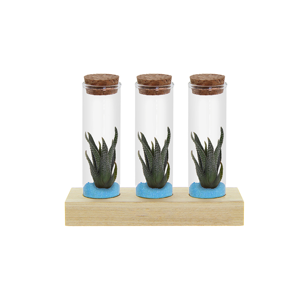 Tiny Treasurez® - Trio tube & wood - kopen of bedrukken - licht blauw
