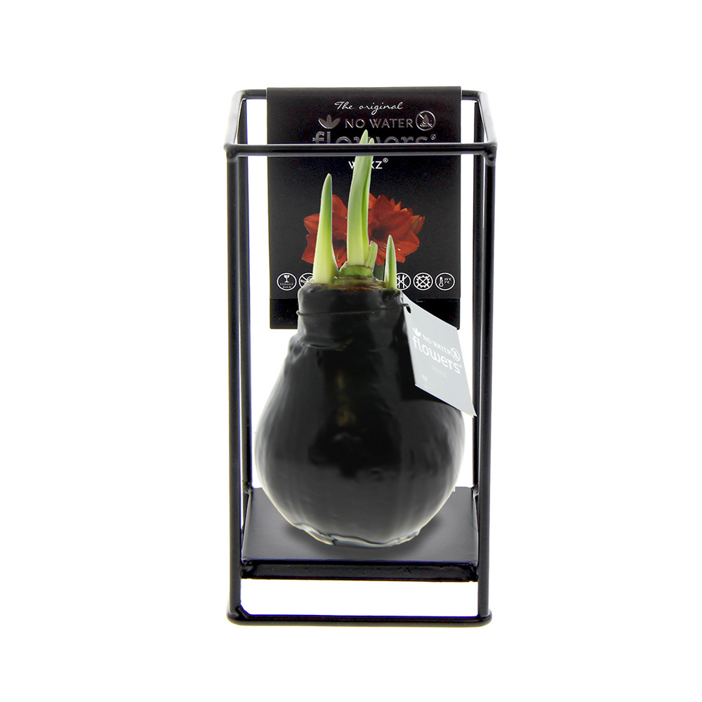 No Water Flowers® - Formz industrial - kopen of bedrukken - zwart