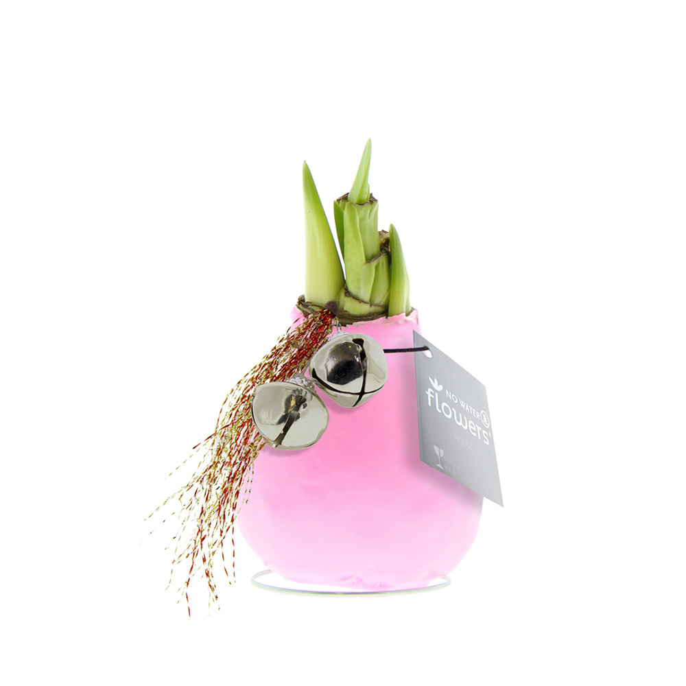 No Water Flowers® - Jingle Bellz - voor bedrijven en relatiegeschenken - Pastel roze