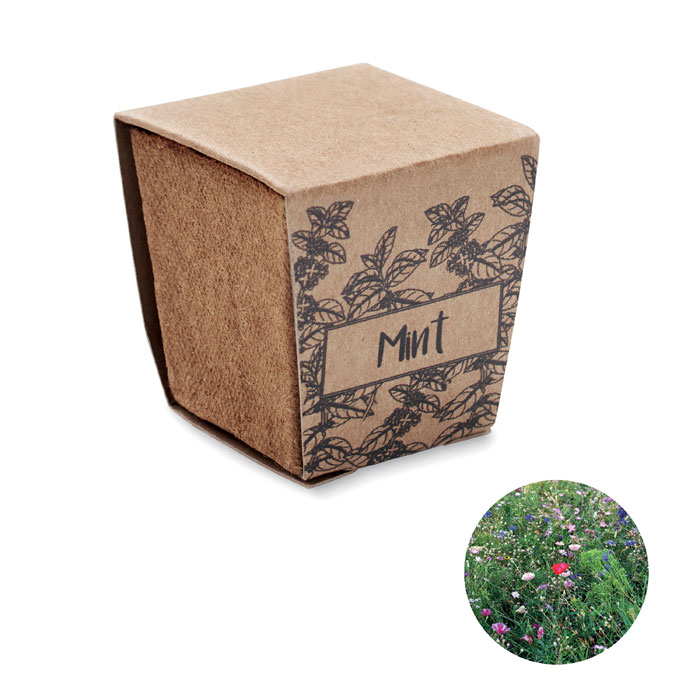 MINT KIT - Muntzaad kweekset