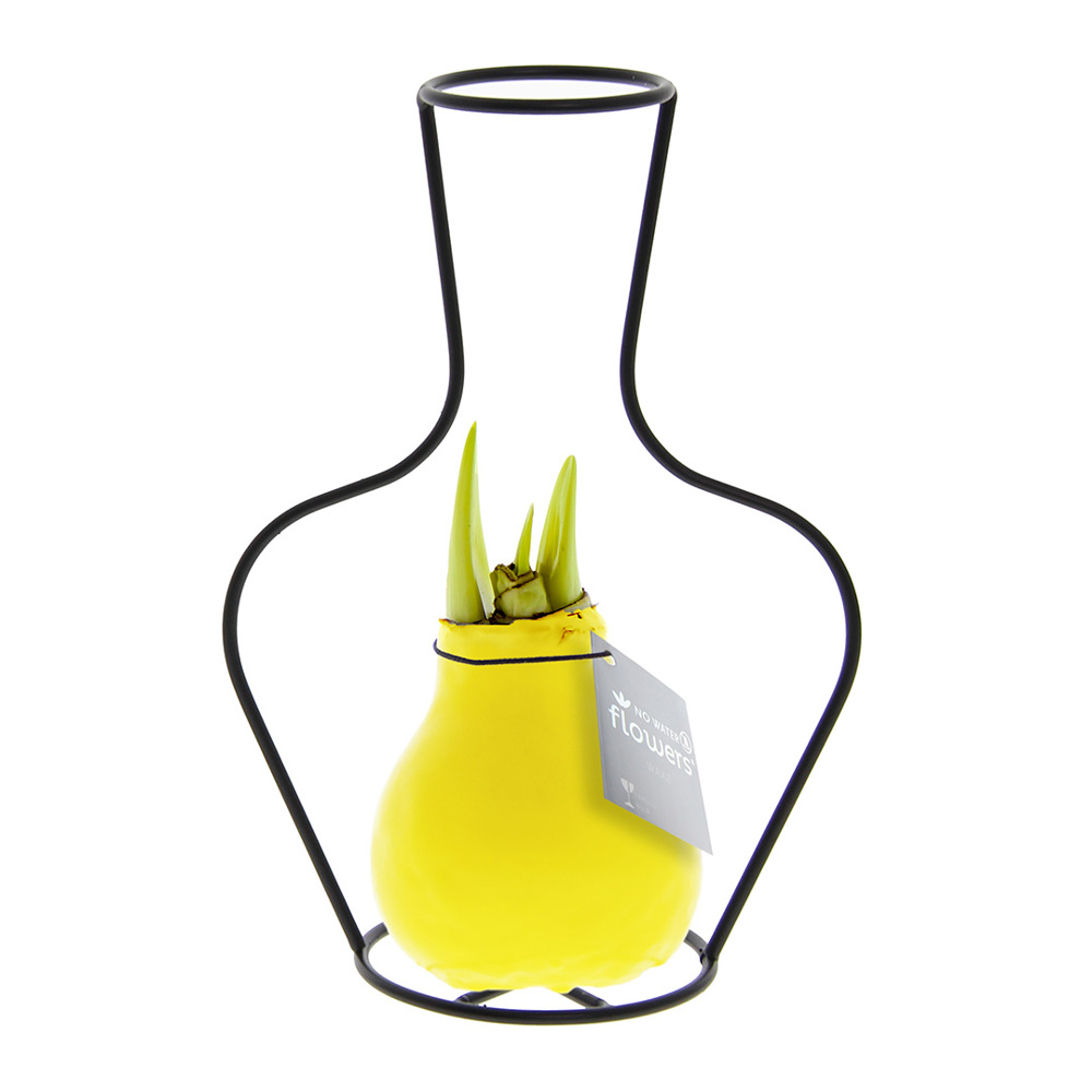 No Water Flowers® - Formz classic - kopen of bedrukken - geel