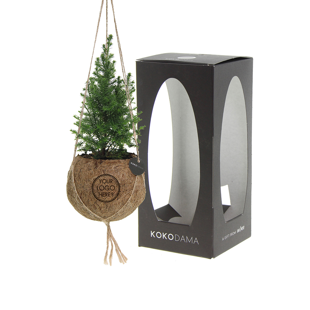 Kokodama® - Christmas tree (S) - met logo of onbedrukt bestellen