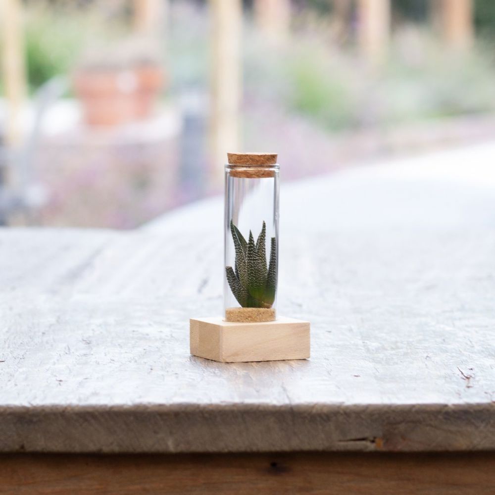 Tiny Treasurez® - Single tube & wood, Groen