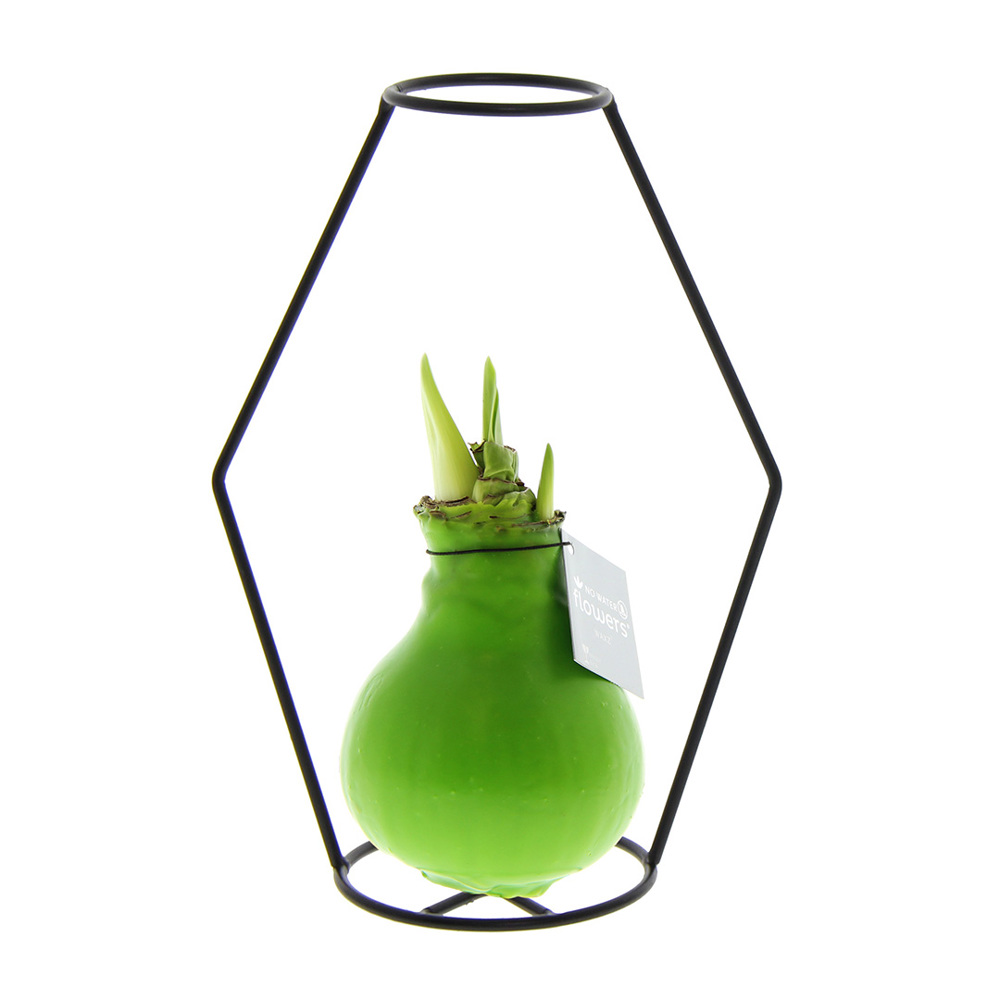 No Water Flowers® - Formz modern - kopen of bedrukken - Lichtgroen