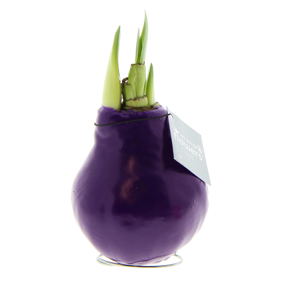 No Water Flowers® - Waxz® Colours - kopen of bedrukken - paars