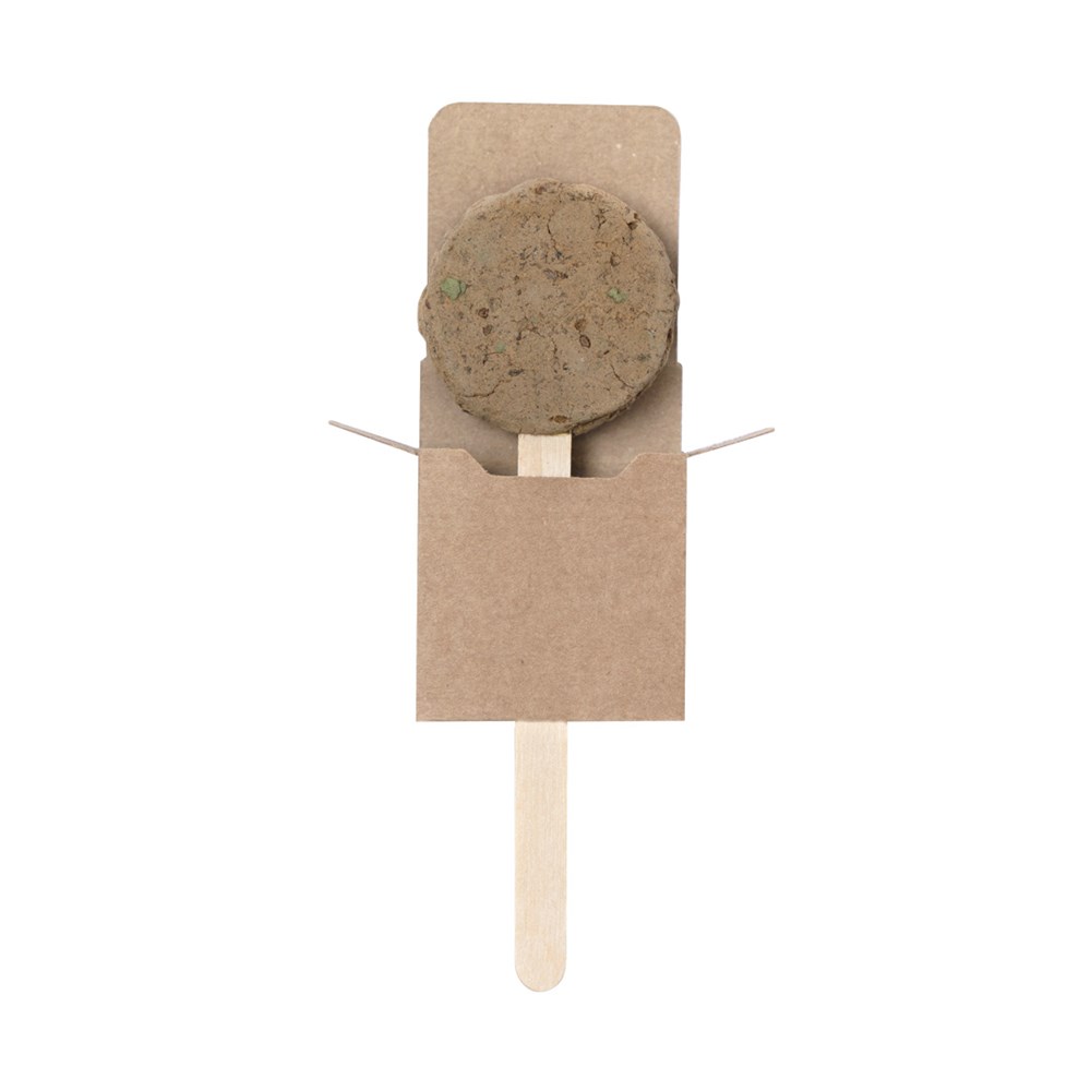 Zaad-Lolly Zaden Ebeldy