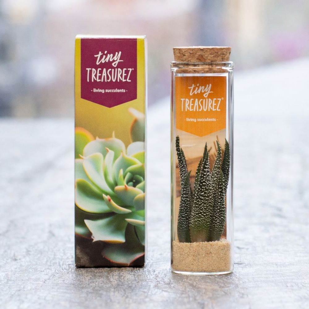 Tiny Treasurez® - Message in a bottle small, In giftbox, Blauw