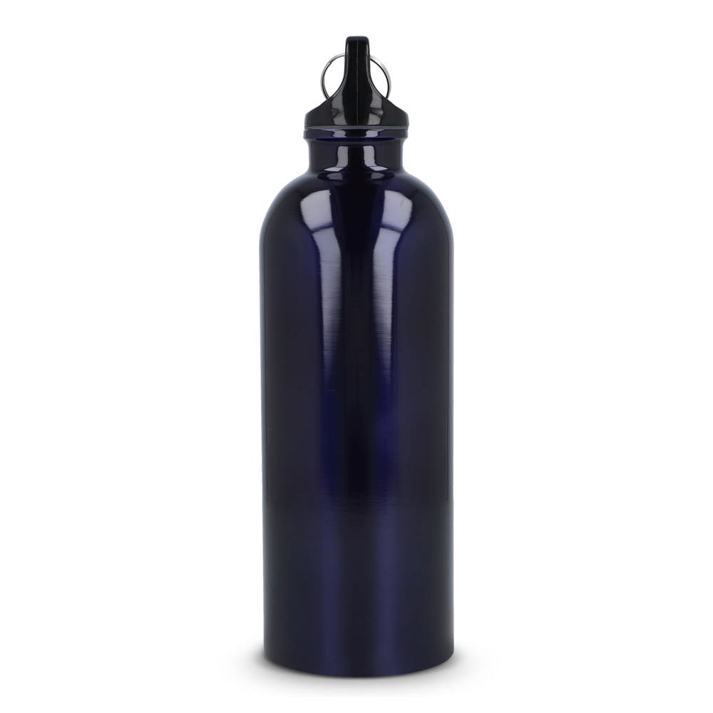 Gerecycled RVS Enkelwandige fles met Karabijnhaak 500ml