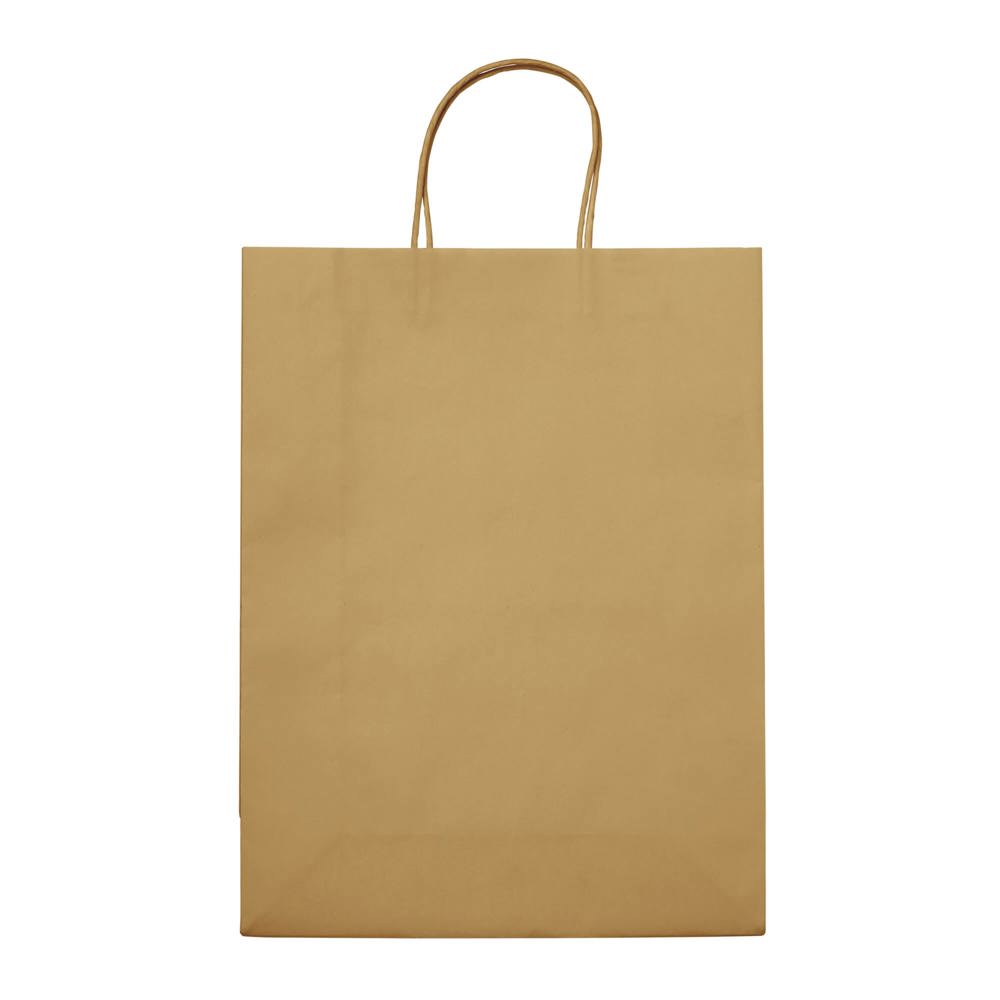 Draagtas papier groot 120g/m²