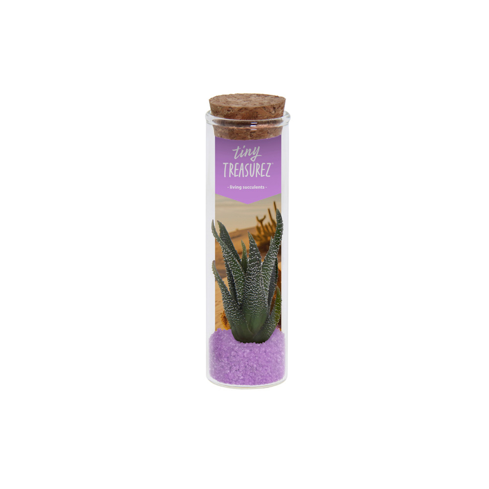 Tiny Treasurez® - Message in a bottle small - met logo of onbedrukt bestellen - paars