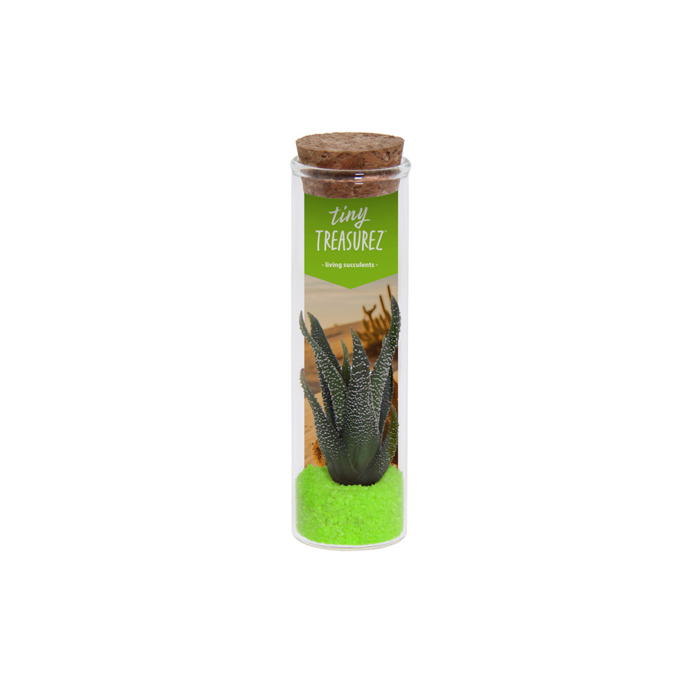 Tiny Treasurez® - Message in a bottle small - met logo of onbedrukt bestellen - groen