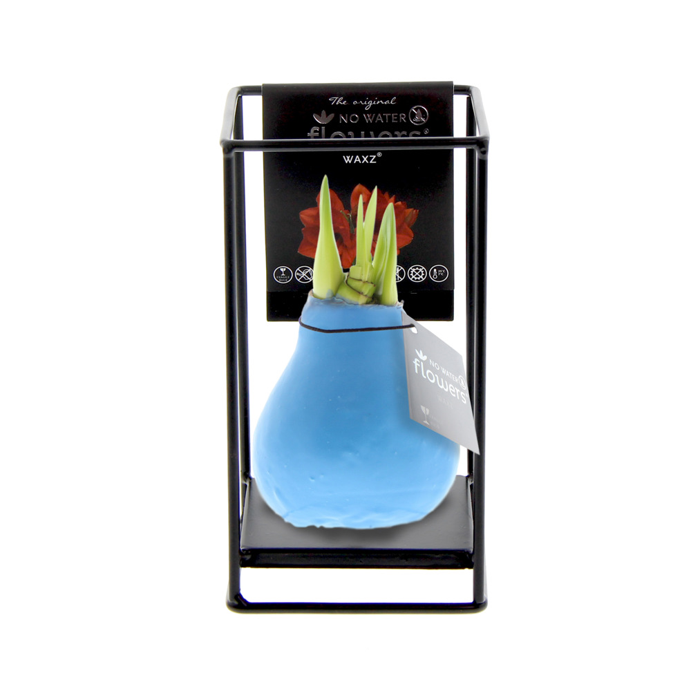 No Water Flowers® - Formz industrial - kopen of bedrukken - Pastel blauw