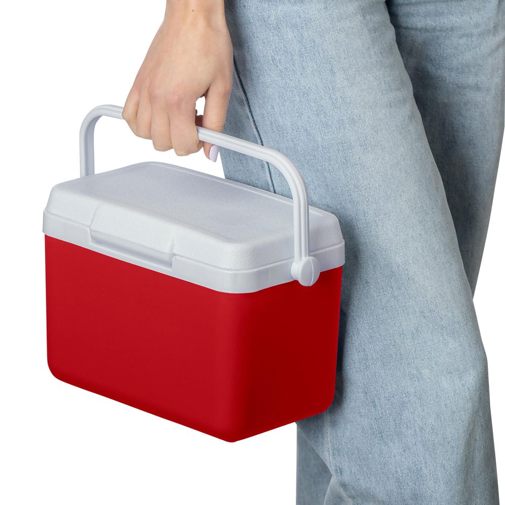 Koelbox 4 liter Sunkissed