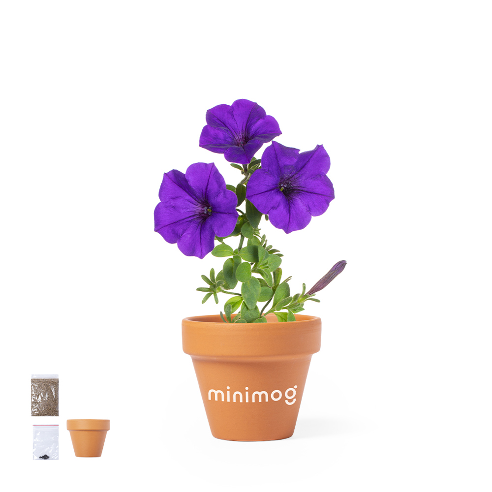 Bloempot Soltax - met logo of onbedrukt bestellen