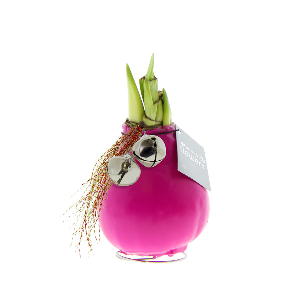 No Water Flowers® - Jingle Bellz - voor bedrijven en relatiegeschenken - roze