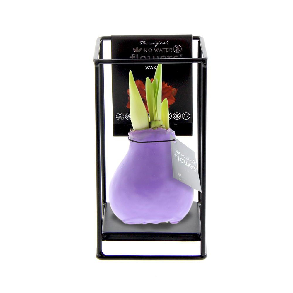 No Water Flowers® - Formz industrial - kopen of bedrukken - Pastel paars