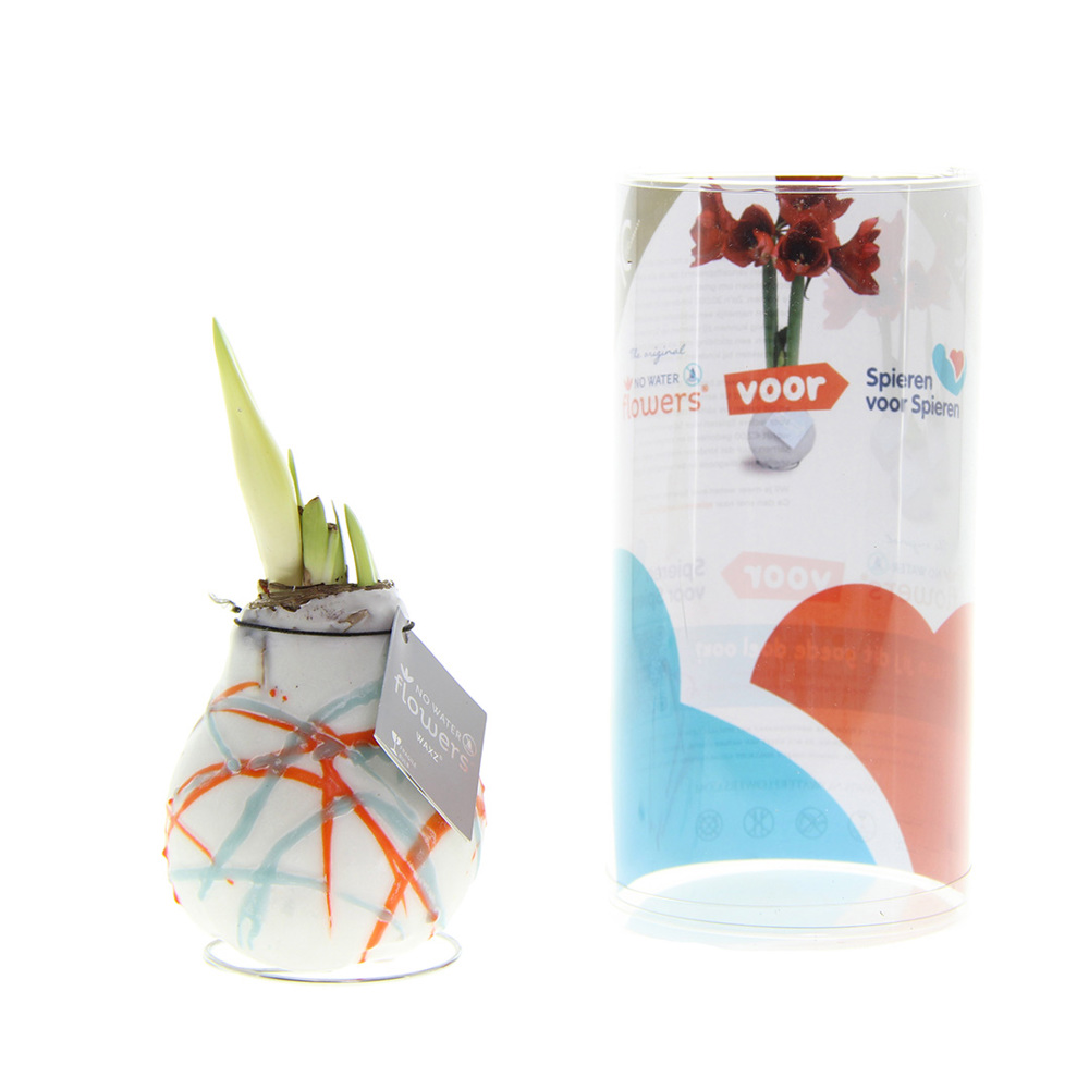 No Water Flowers® - Art, Zonder verpakking