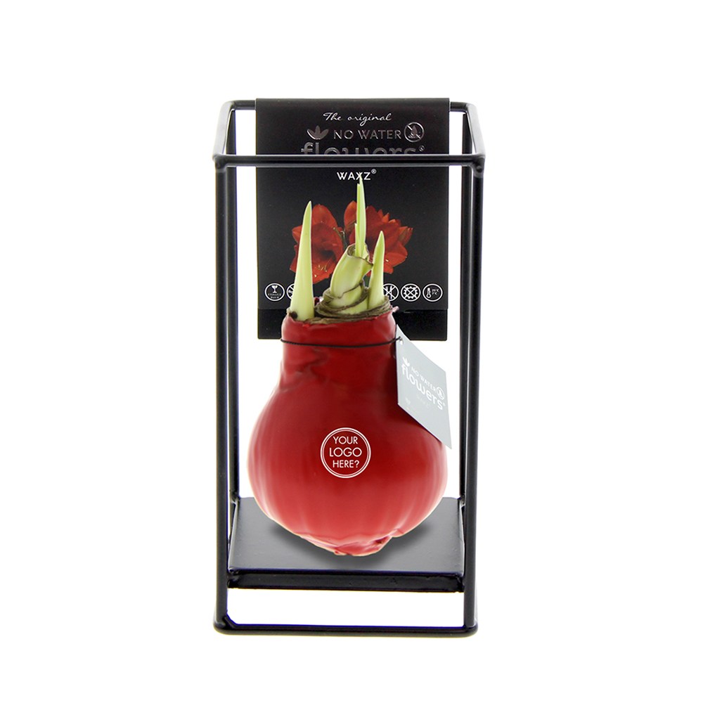 No Water Flowers® - Formz industrial - kopen of bedrukken