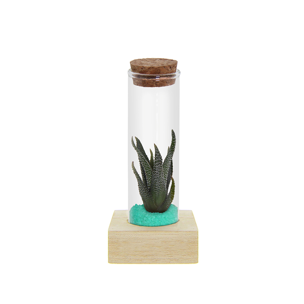Tiny Treasurez® - Single tube & wood - met logo of onbedrukt bestellen - turquoise