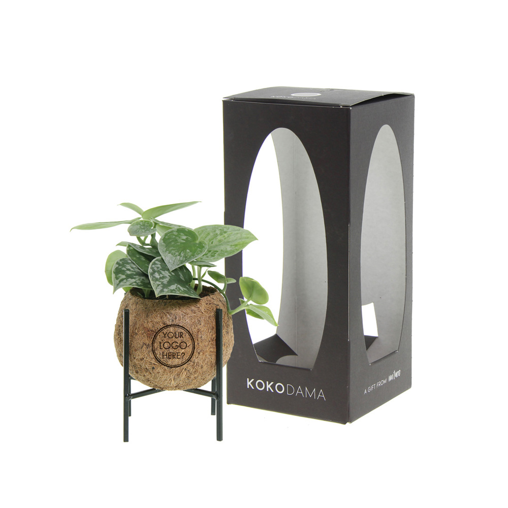Kokodama® - Industrial green mix (S) - voor bedrijven en relatiegeschenken