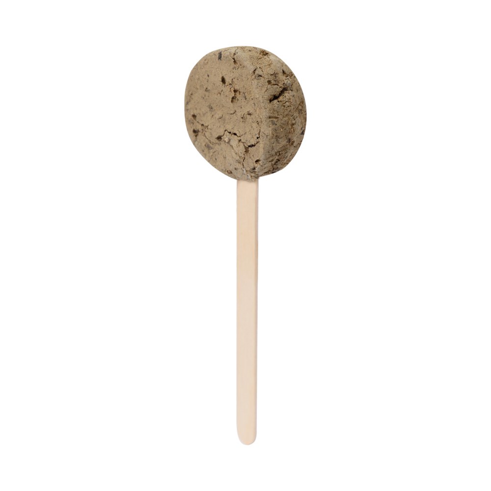 Zaad-Lolly Zaden Ebeldy