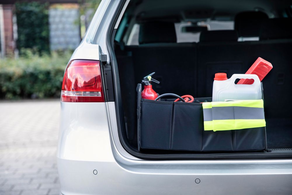 Polyester (600D) auto organizer Simon