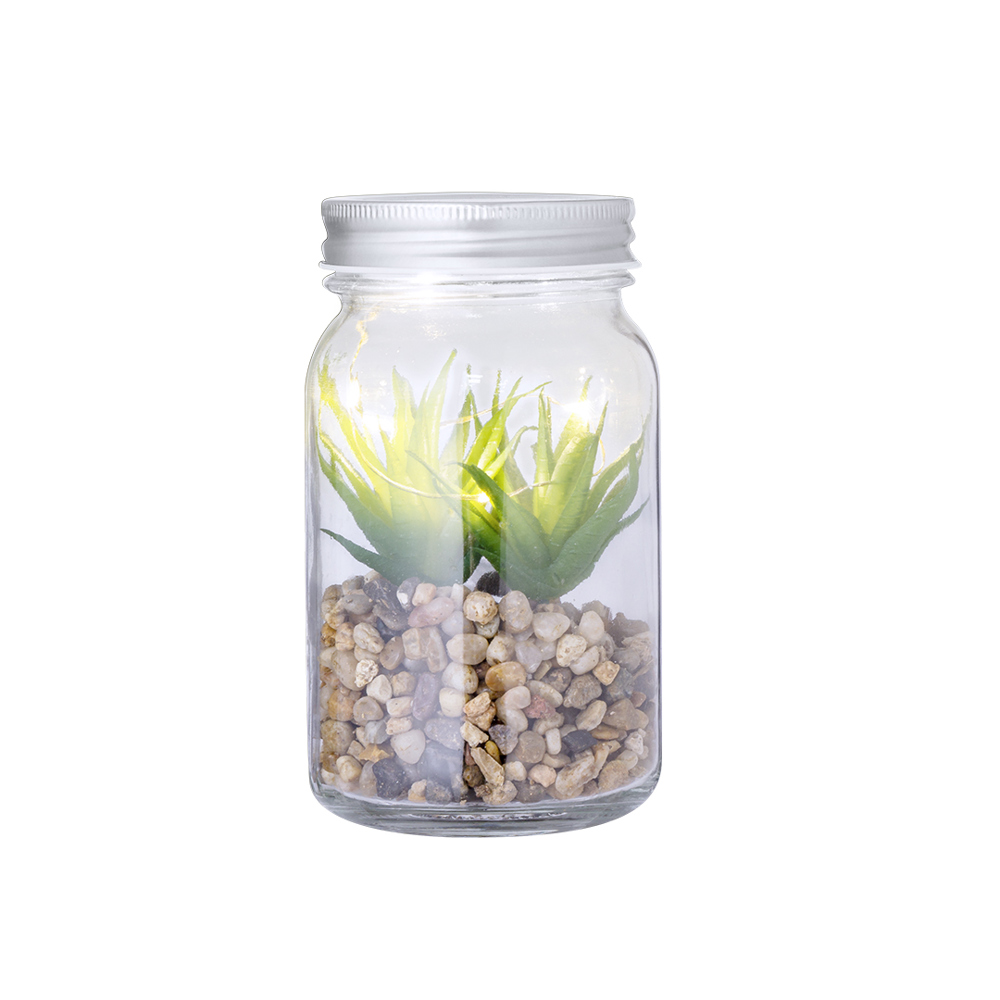 Decoratieve Plant Kyala - kopen of bedrukken