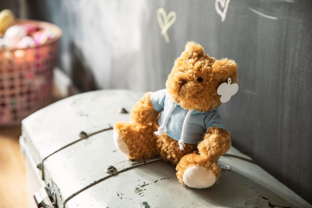 Pluche teddybeer Monty