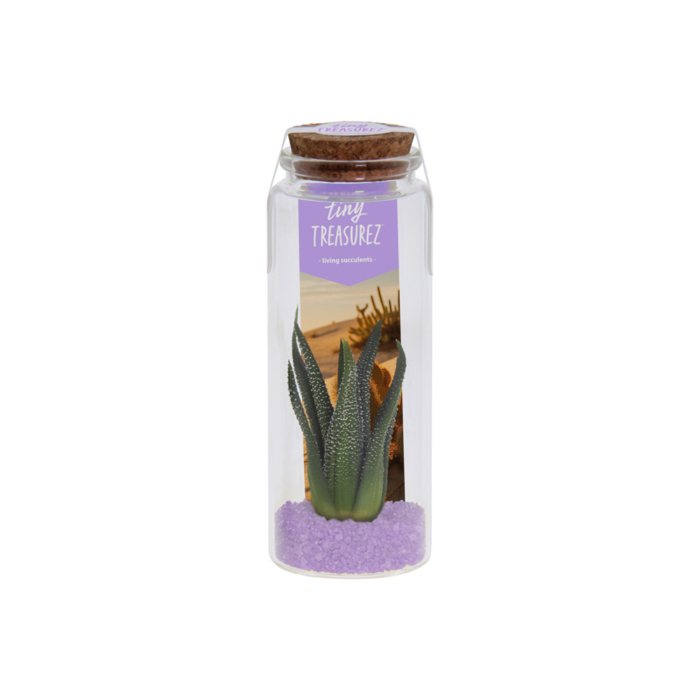 Tiny Treasurez® - Message in a bottle large - voor bedrijven en relatiegeschenken - paars