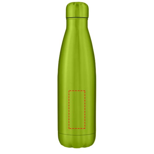 Cove vacuüm geïsoleerde roestvrijstalen fles van 500 ml