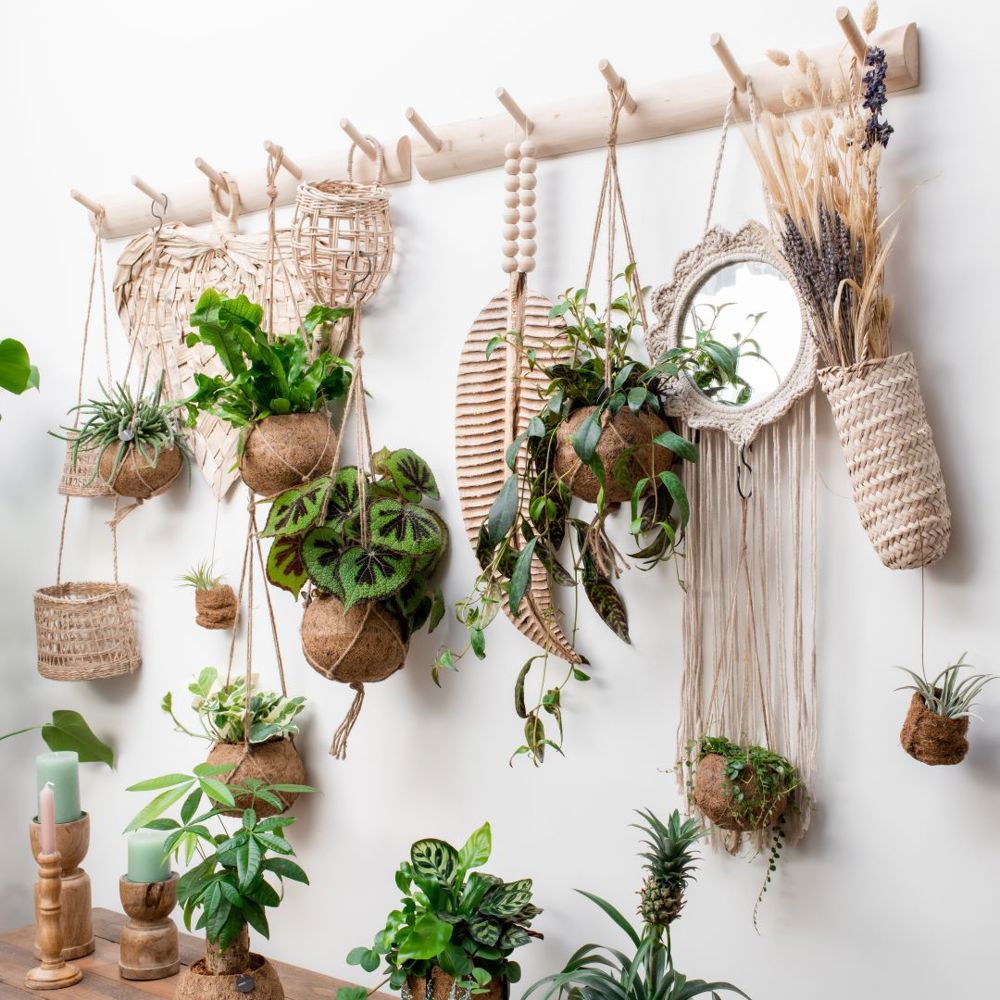 Kokodama® - Industrial easy green mix (M), Zonder verpakking