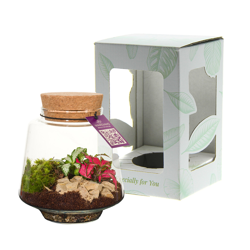 Wardians® Ecosystem - Conical small - voor bedrijven en relatiegeschenken