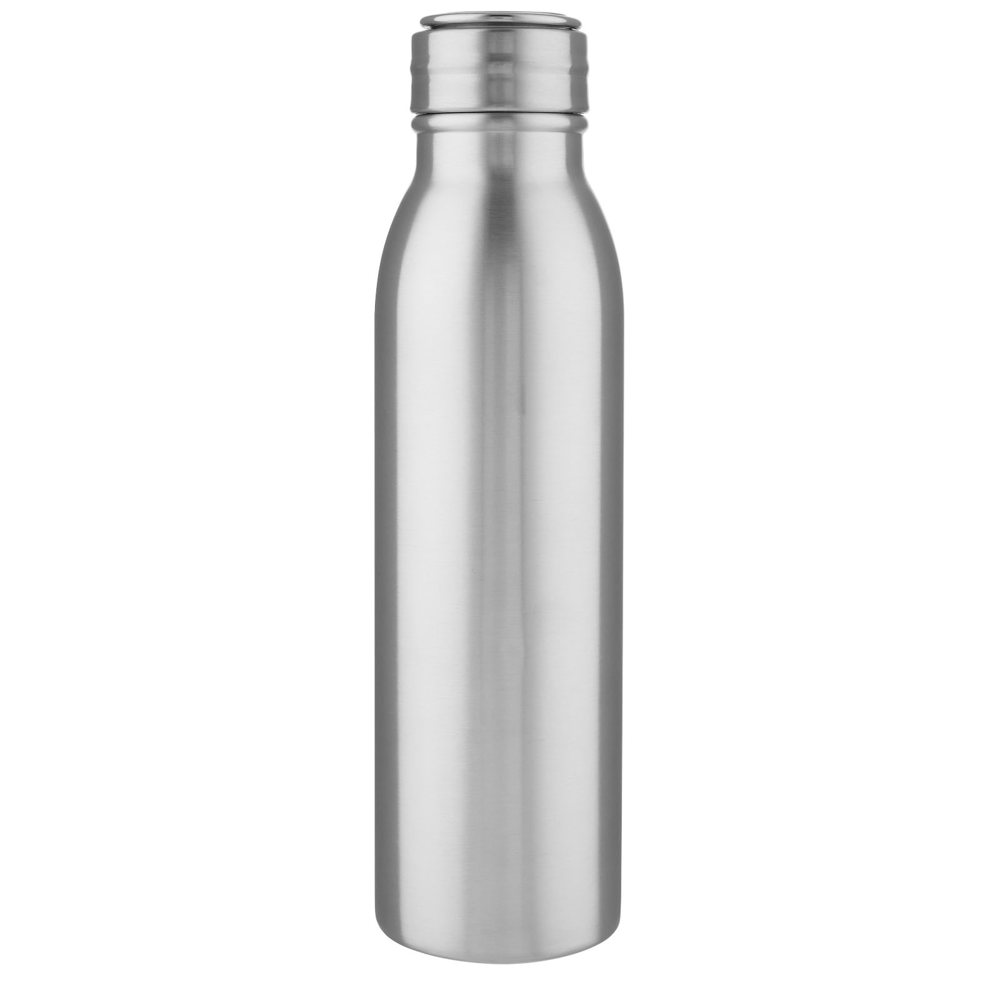 Harper 700 ml roestvrijstalen drinkfles met metalen lus