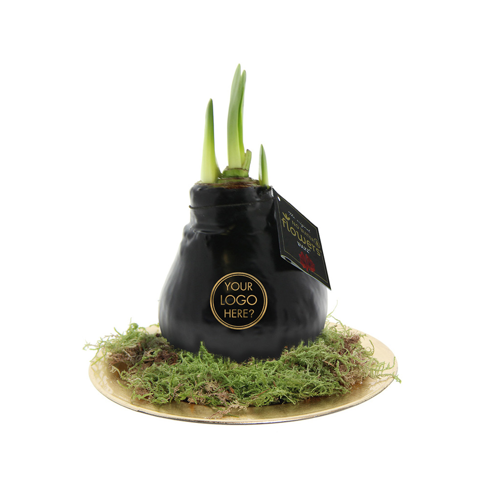 No Water Flowers® - Waxz® on golden dish - met logo of onbedrukt bestellen