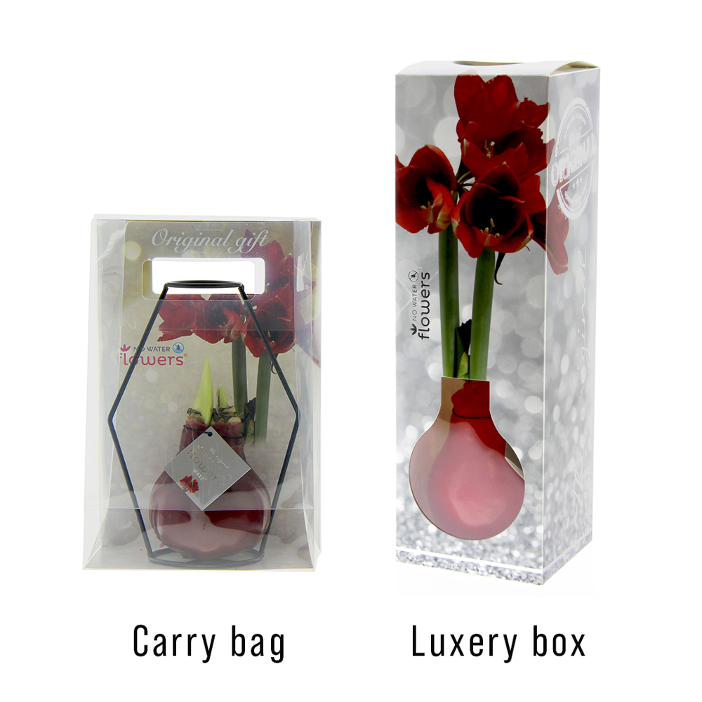 No Water Flowers® - Formz modern, In luxury box, Rood