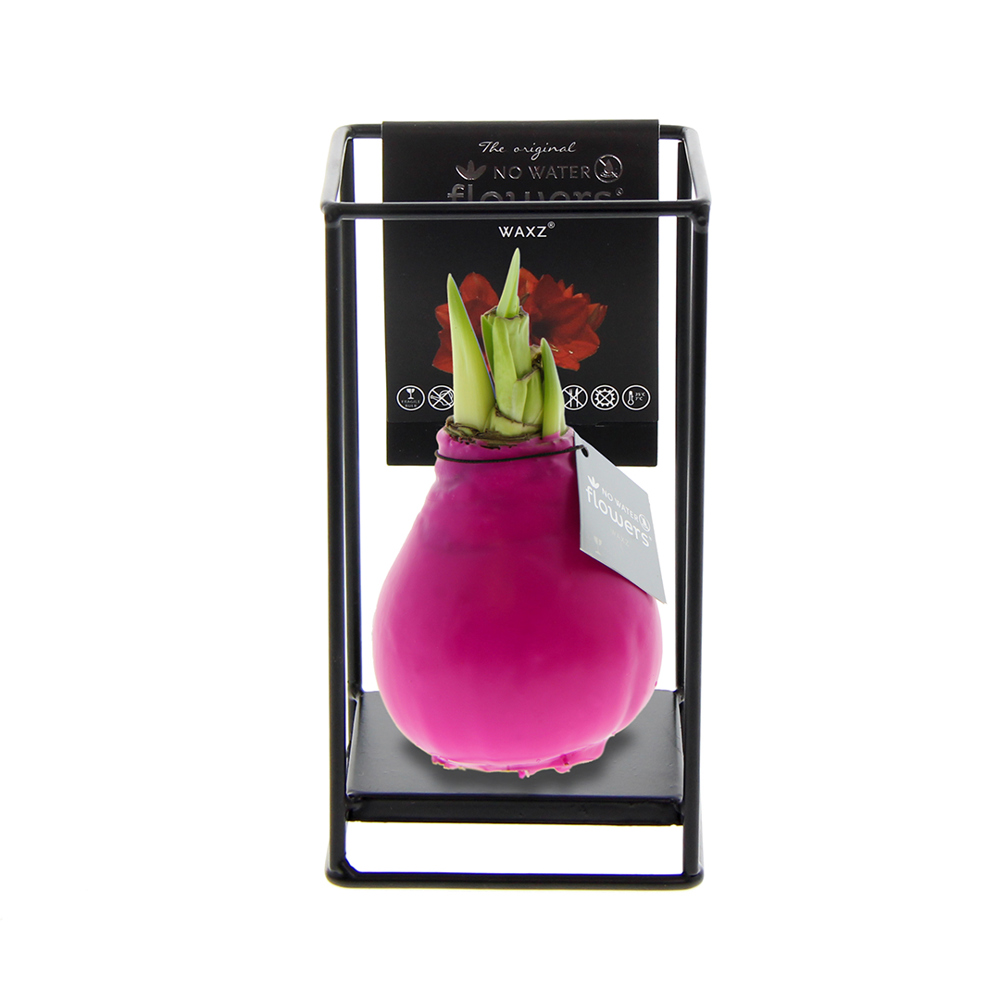 No Water Flowers® - Formz industrial - kopen of bedrukken - roze