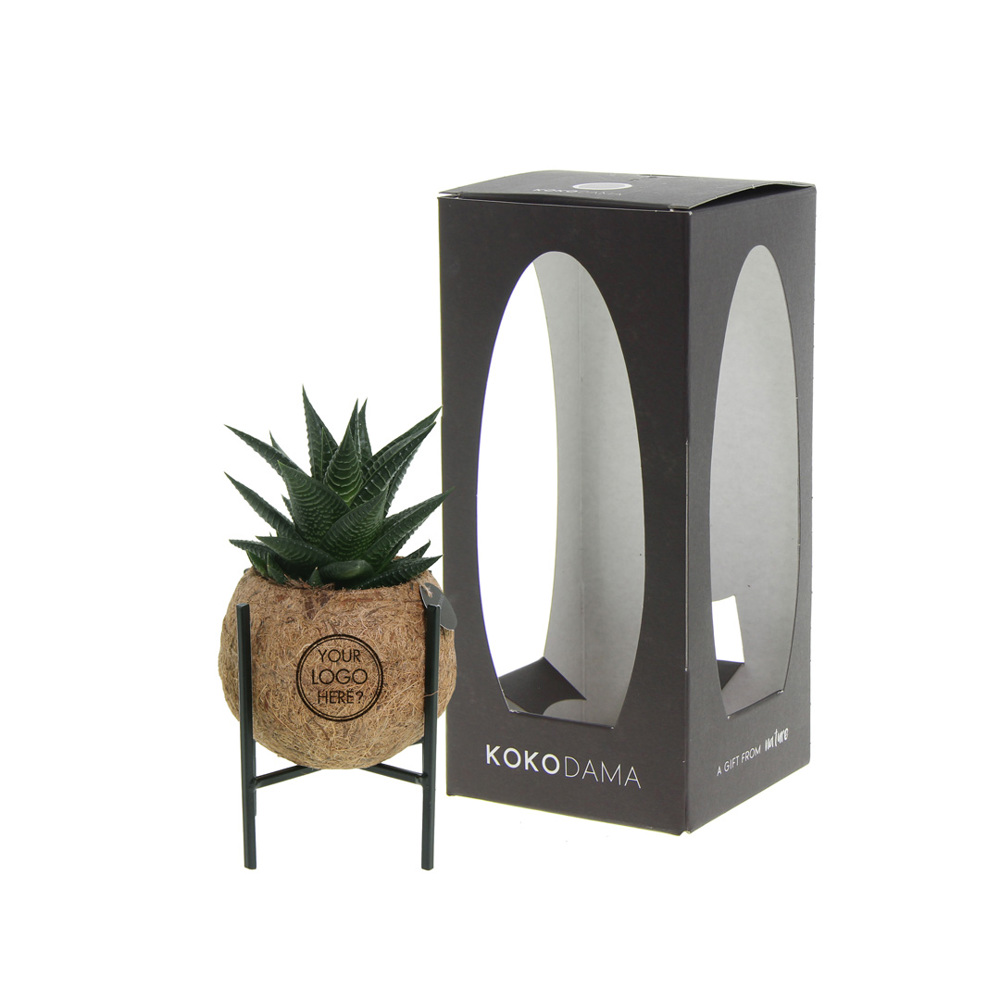 Kokodama® - Industrial easy care mix (S) - kopen of bedrukken