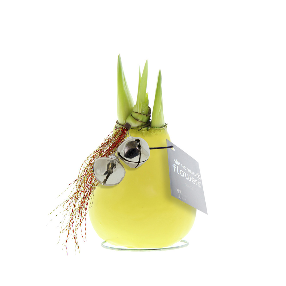 No Water Flowers® - Jingle Bellz - voor bedrijven en relatiegeschenken - Pastel geel
