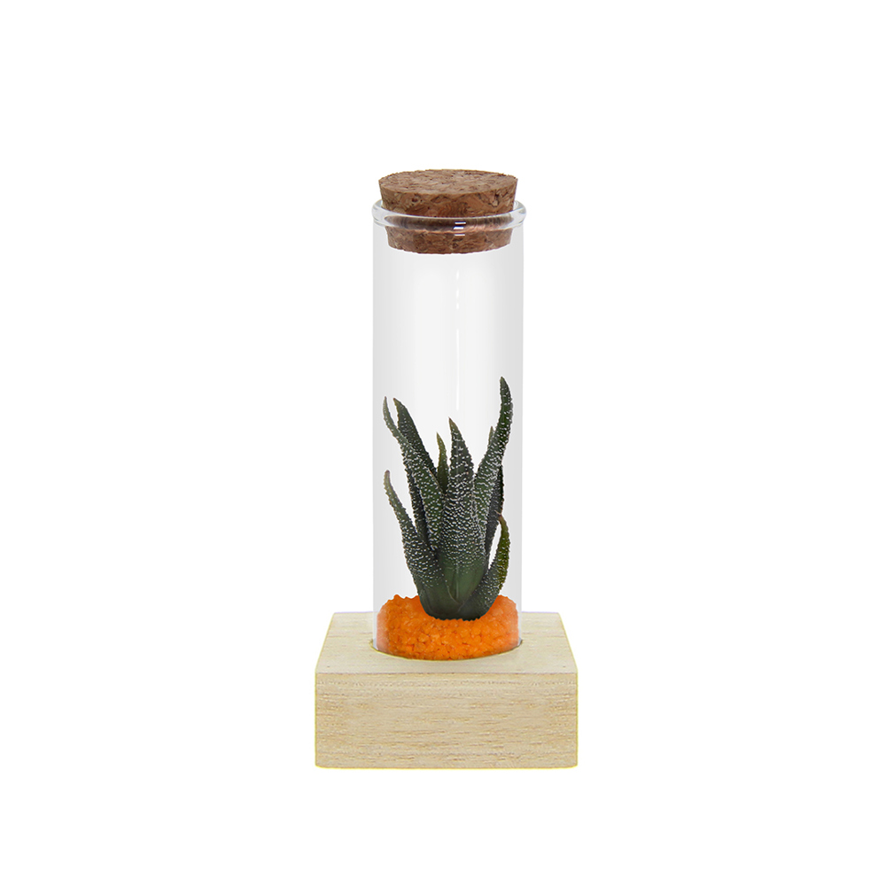Tiny Treasurez® - Single tube & wood - met logo of onbedrukt bestellen - oranje