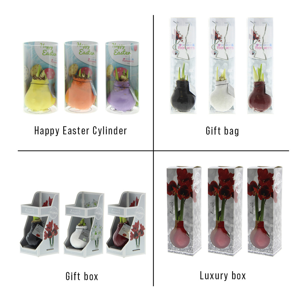 No Water Flowers® - Wrapz Easter mix, Zonder verpakking