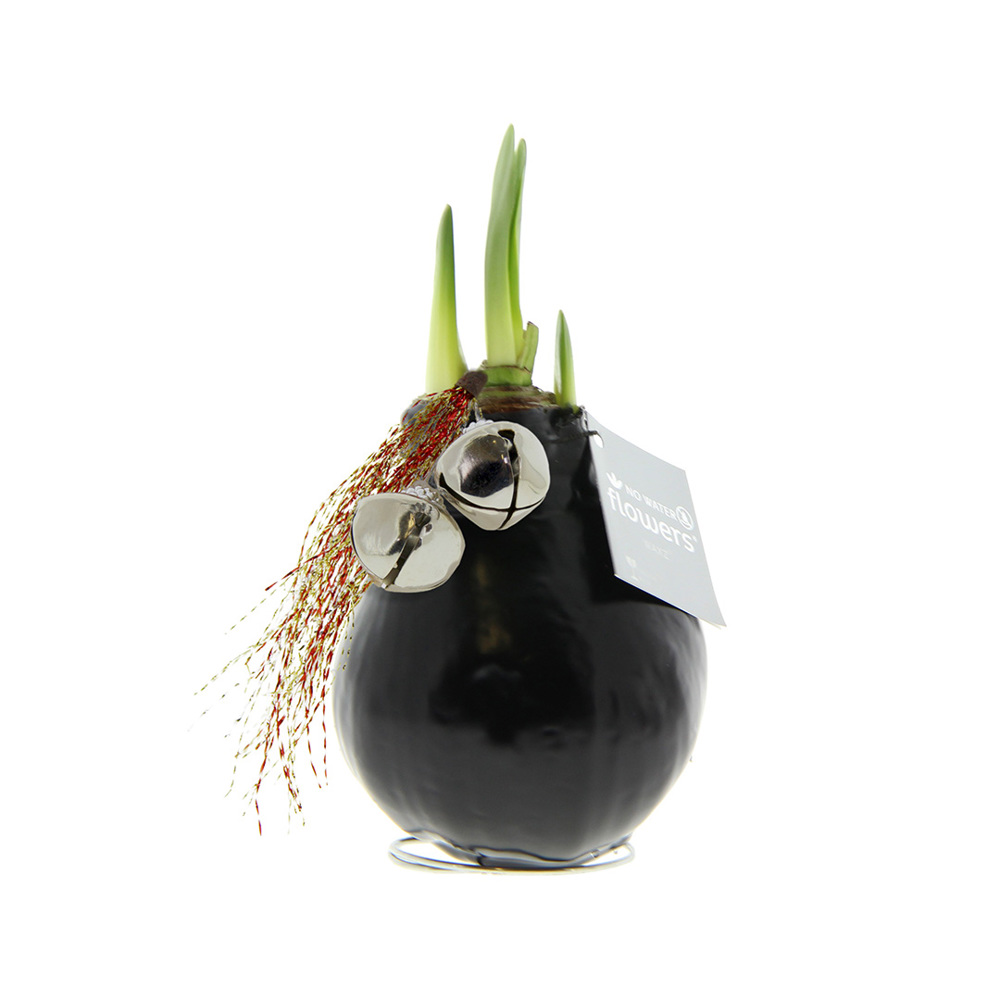 No Water Flowers® - Jingle Bellz - voor bedrijven en relatiegeschenken - zwart