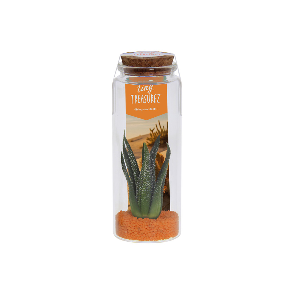 Tiny Treasurez® - Message in a bottle large - voor bedrijven en relatiegeschenken - oranje